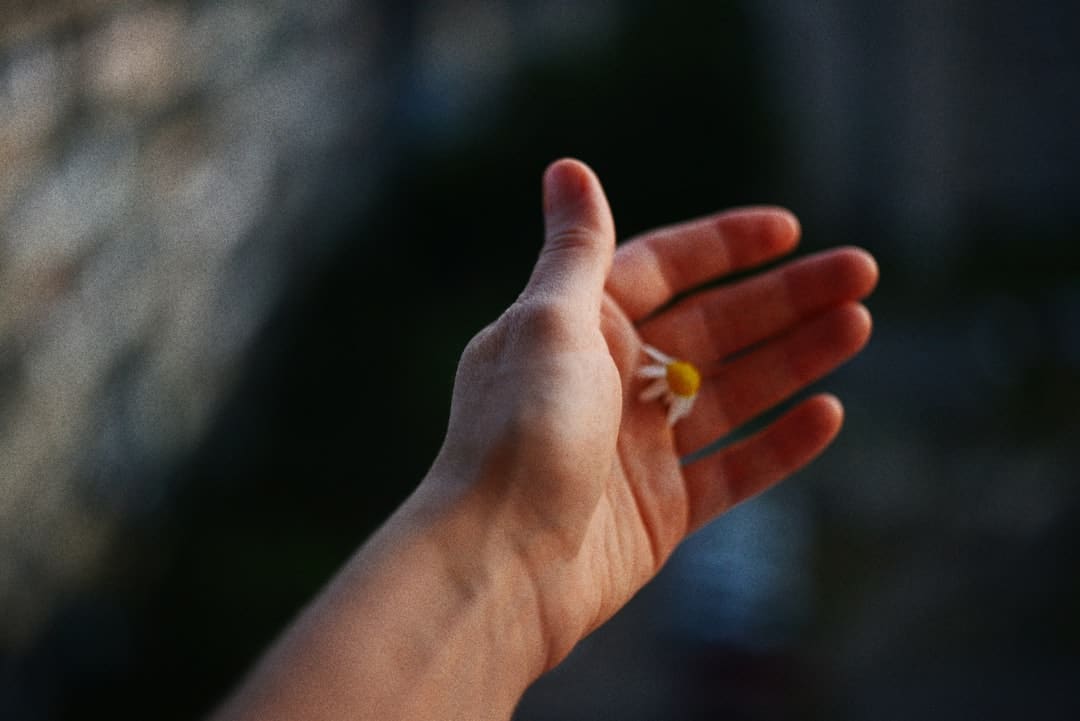 深度链接观众，看金鸡奖怎么花式打造线上沉溺感